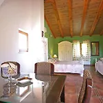 Aurora Holiday Rasa