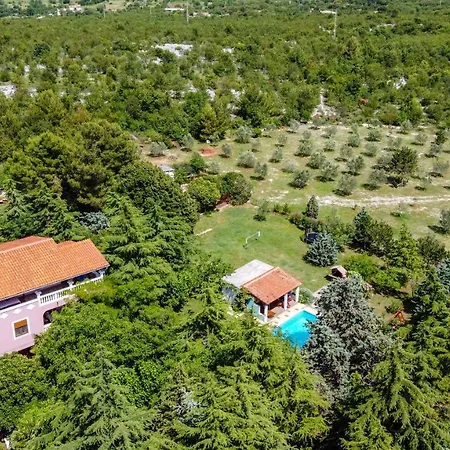 Aurora Holiday بيت ضيافة