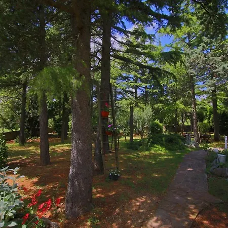 Aurora Holiday Guest house Rasa