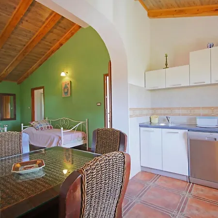 Aurora Holiday 4* Rasa