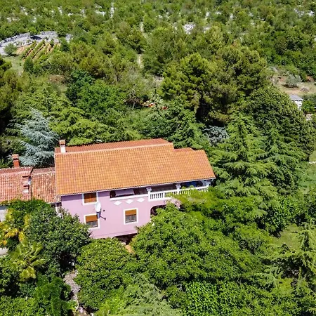 Guest house Aurora Holiday 4*