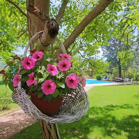 Gasthuis Aurora Holiday