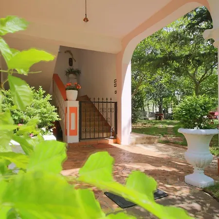 Aurora Holiday Raša